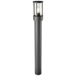 WL-231GR/800