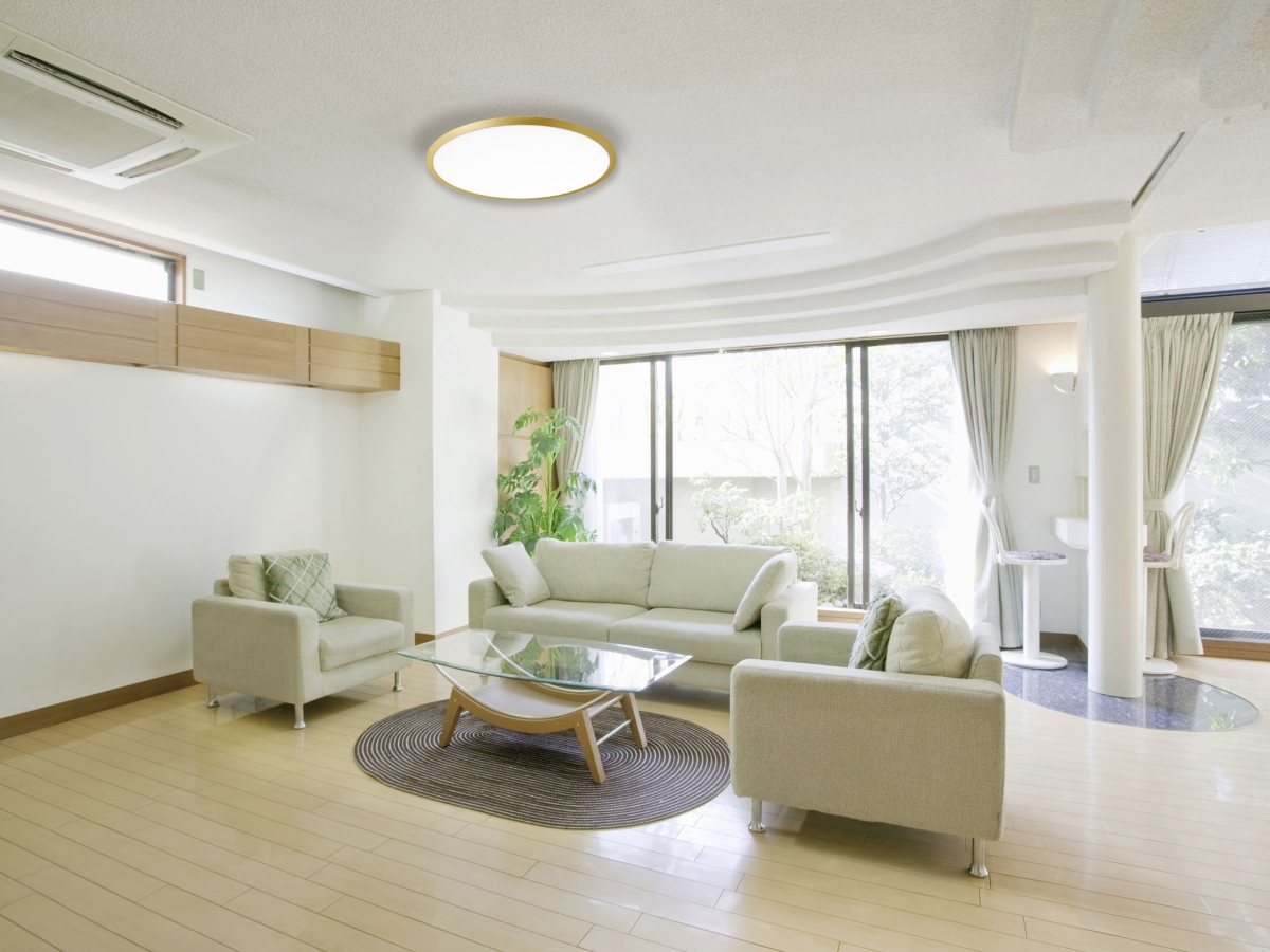 צמוד_תקרה_דגם_ספייס_זהב