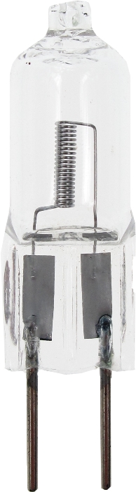 נורות_הלוגן_פין_12/10