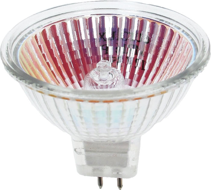 נורות_הלוגן