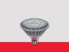 לד PAR30